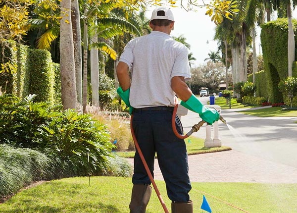 About Westminster VT Pest Control